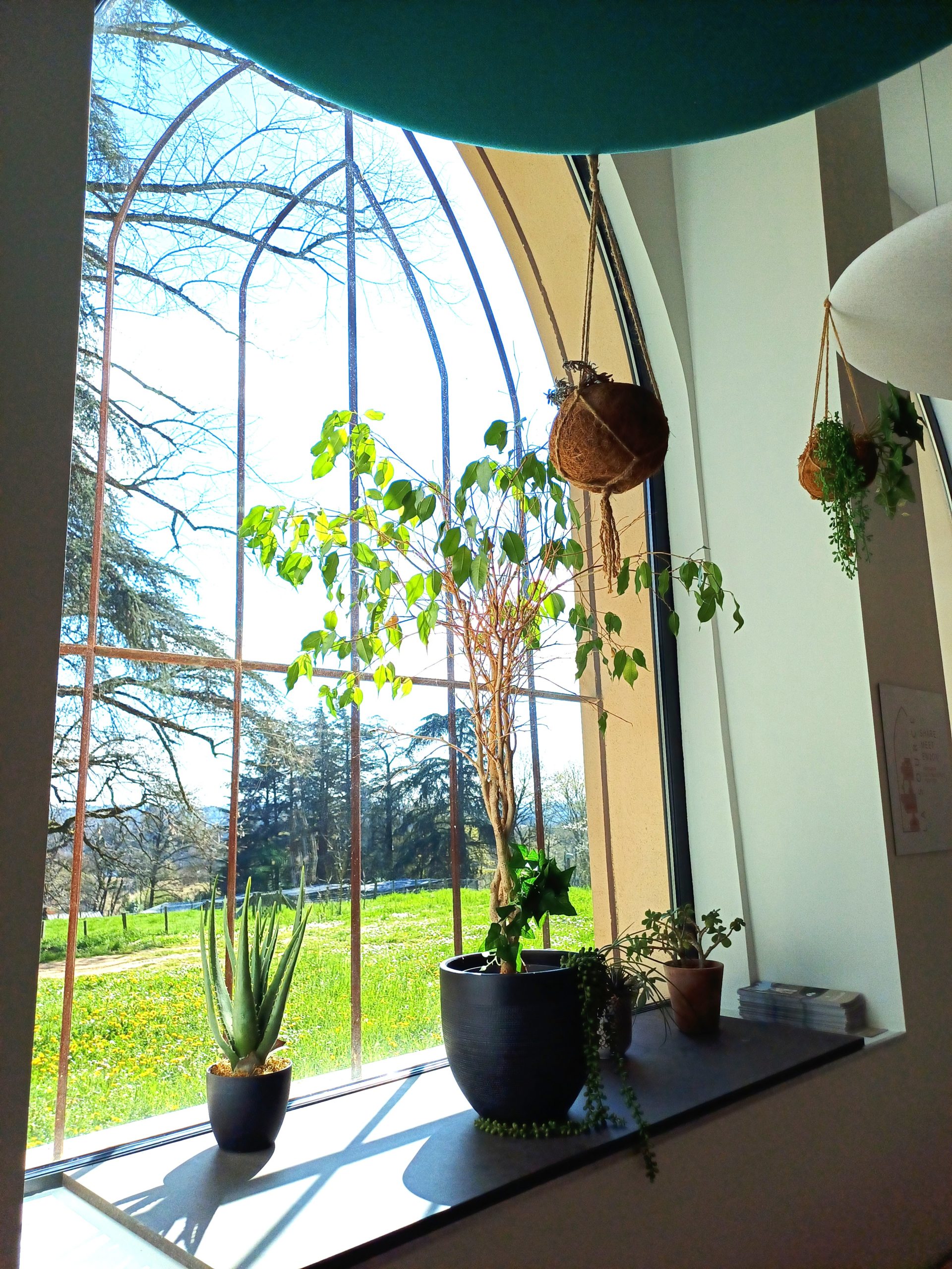 L'orangerie - Montcelard
