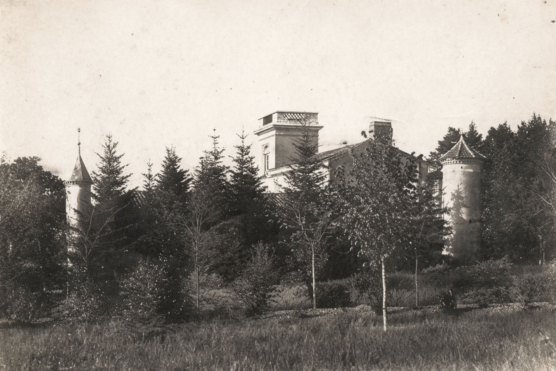 Naissance du domaine